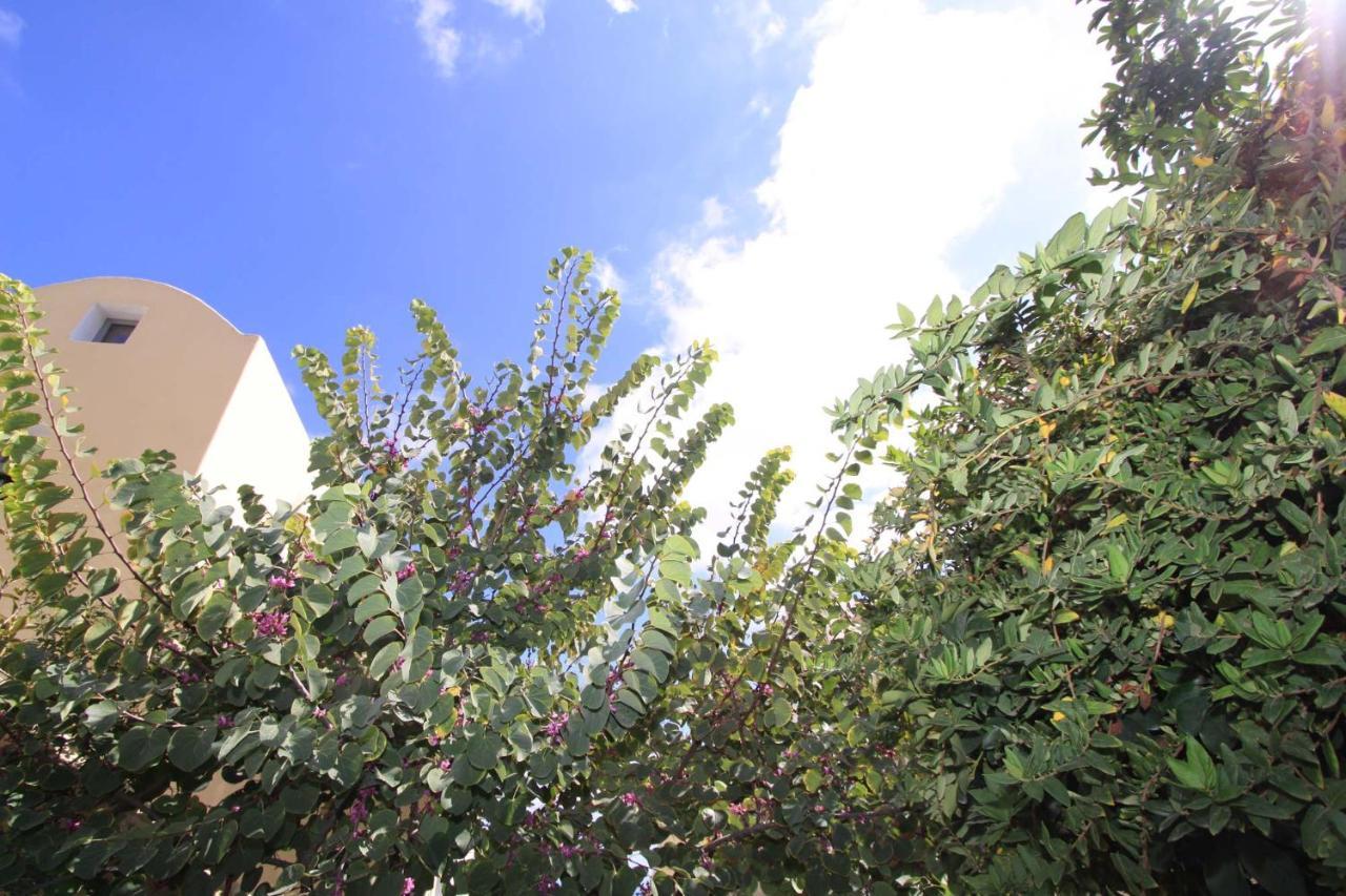 Ersi Villas Фира Екстериор снимка
